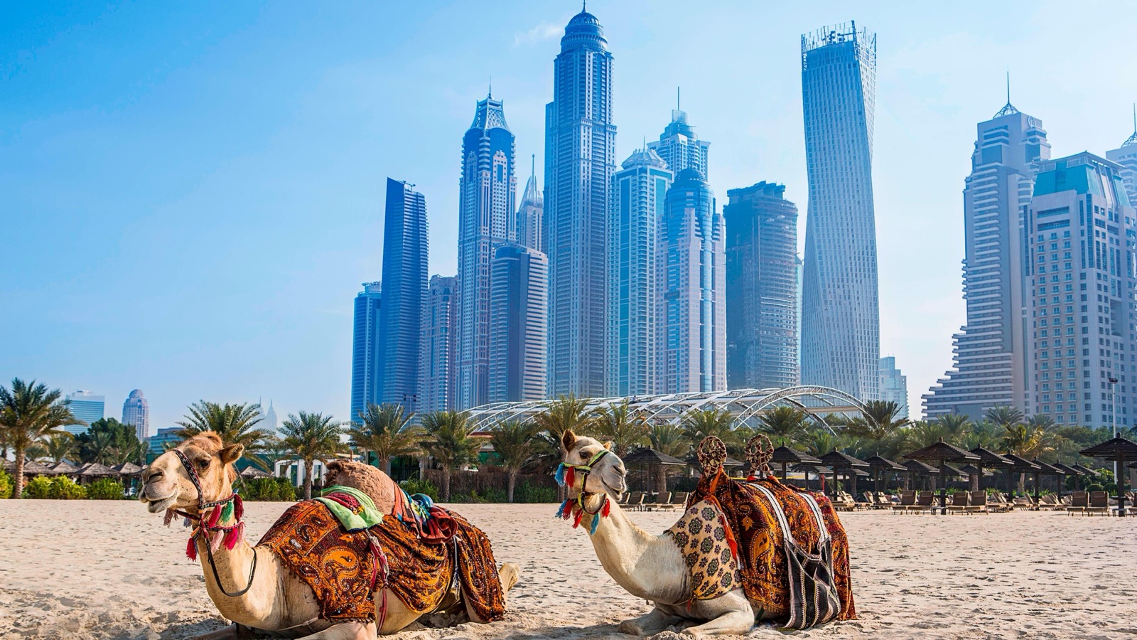 Собственный пляж JBR на фоне небоскрёбов Dubai Marina