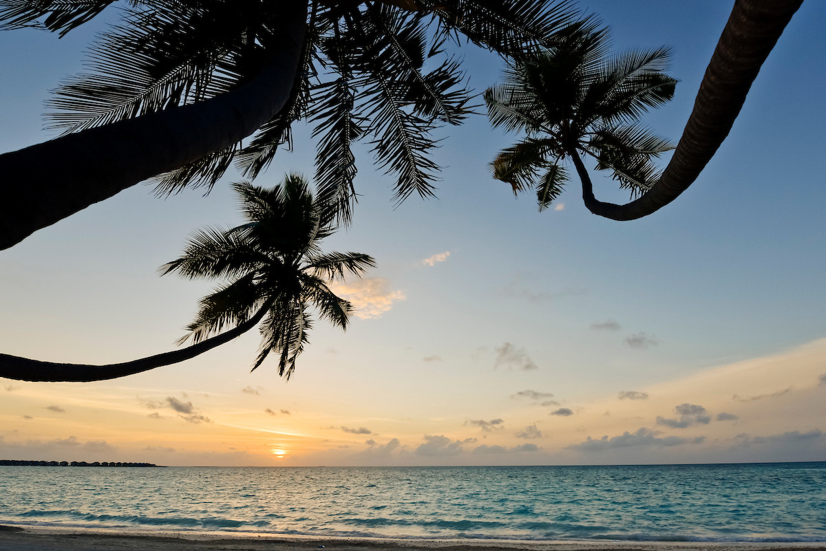 Закат на пляже острова под пальмами