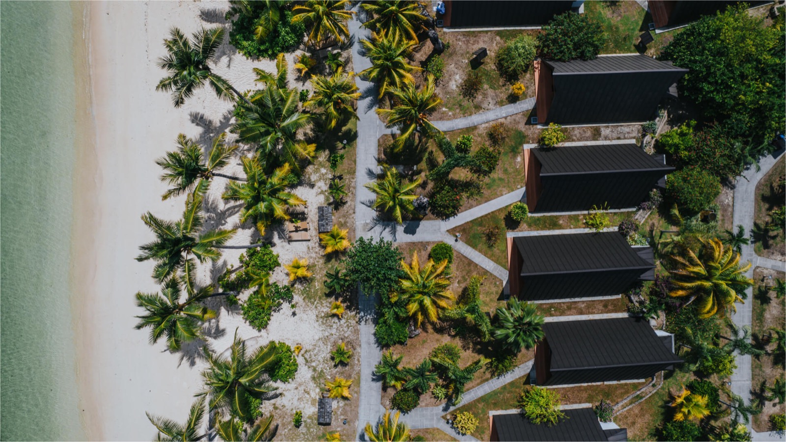 Пляж Anse Réunion и A-frame шале среди пальм с высоты птичьего полёта