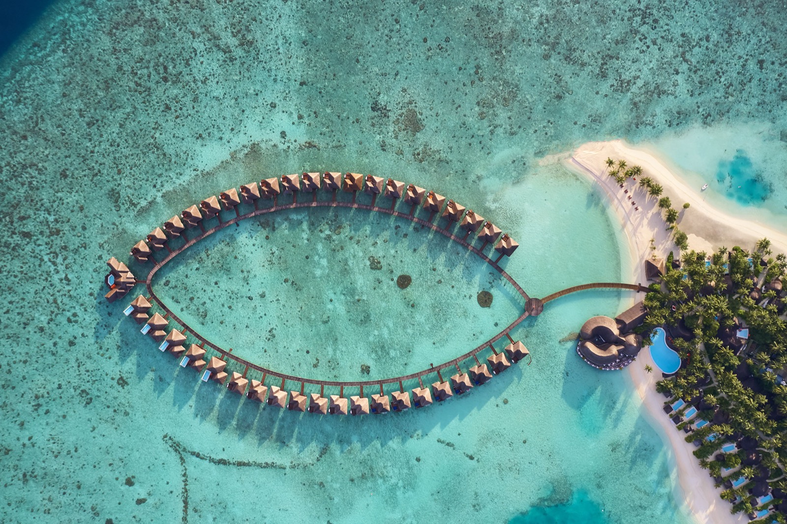 Аэропанорама курорта Sun Siyam Vilu Reef с виллами вдоль пляжа и над лагуной