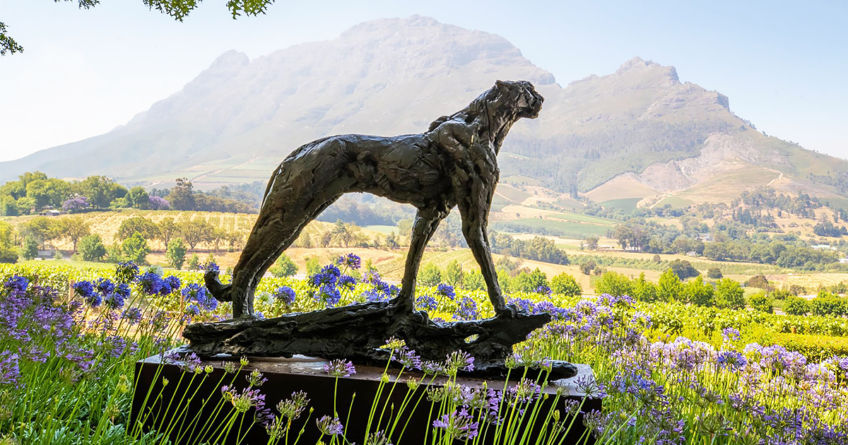Delaire Graff Estate