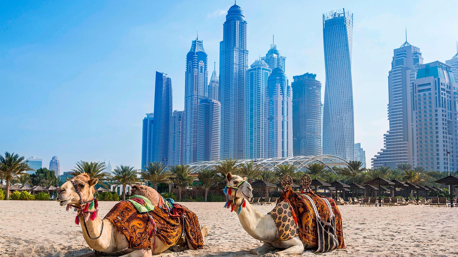 Habtoor Grand Resort, Autograph Collection