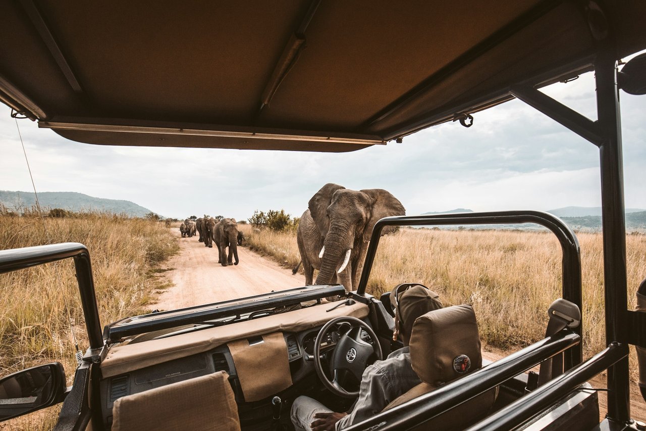 Kapama River Lodge