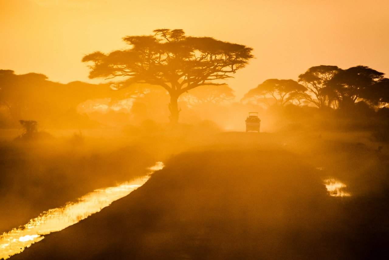 Sabi Sabi Earth Lodge